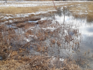 Indy reader Wendy VanDusen snapped this photo of the seasons colliding on the Baraboo River. VanDusen said she saw this happening near the old Reedsburg City yard and the old bridge near the river overflow. On March 9, the water level rose due to heavy rains, which caused ice sheets to rise. When the water level fell, the ice remained aloft, held there by freezing and weeds. It appeared as though they were floating in mid-air. VanDusen called it, “a unique and unexpected sight.” (Submitted photo)